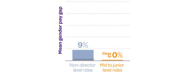 Gender Pay Gap 2